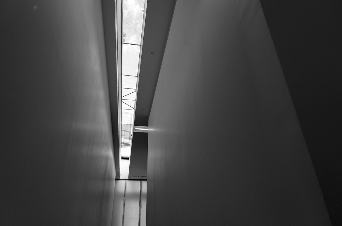 糖心vlog又出事了？反内耗背后是完整复盘