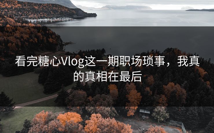 看完糖心Vlog这一期职场琐事，我真的真相在最后